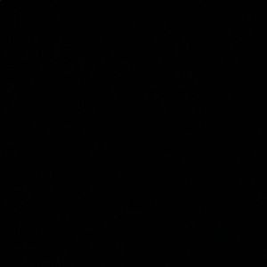 Meet your Posher, Dong hyun